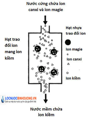 Nguyên lý hoạt động của hạt ion cation